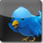 Twitterific Icon